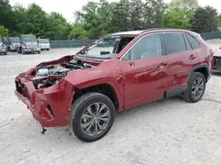 2T3B6RFVXRW082469 2024 TOYOTA RAV 4