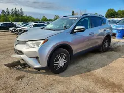 2T3BFREV0GW444047 2016 TOYOTA RAV 4