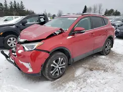2T3BFREV0GW514257 2016 TOYOTA RAV 4