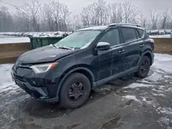 2T3BFREV0HW570961 2017 TOYOTA RAV 4