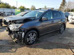 2T3BFREV0HW635291 2017 TOYOTA RAV 4