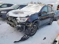 2T3BFREV0HW646422 2017 TOYOTA RAV 4