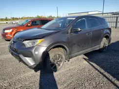 2T3BFREV1GW474724 2016 TOYOTA RAV 4