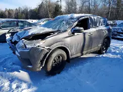 2T3BFREV1GW491426 2016 TOYOTA RAV 4