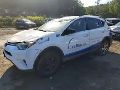 2T3BFREV1GW508919 2016 TOYOTA RAV 4