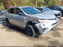 2T3BFREV1GW518236 2016 TOYOTA RAV 4