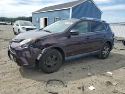 2T3BFREV1HW560374 2017 TOYOTA RAV 4