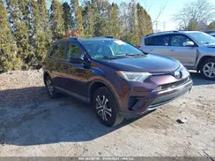 2T3BFREV1HW681986 2017 TOYOTA RAV 4