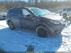 2T3BFREV1HW687447 2017 TOYOTA RAV 4