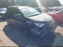 2T3BFREV2GW455065 2016 TOYOTA RAV 4