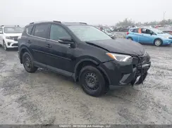 2T3BFREV3GW426237 2016 TOYOTA RAV 4