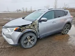 2T3BFREV3HW556309 2017 TOYOTA RAV 4