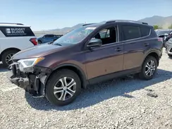 2T3BFREV3HW666339 2017 TOYOTA RAV 4