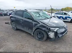 2T3BFREV4GW415442 2016 TOYOTA RAV 4