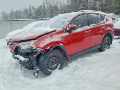 2T3BFREV4GW493218 2016 TOYOTA RAV 4