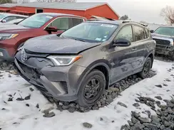 2T3BFREV4GW532731 2016 TOYOTA RAV 4