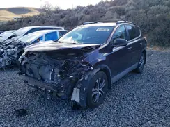 2T3BFREV4HW572227 2017 TOYOTA RAV 4