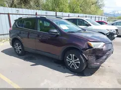 2T3BFREV4HW580568 2017 TOYOTA RAV 4