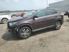 2T3BFREV4HW664731 2017 TOYOTA RAV 4