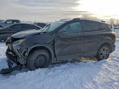 2T3BFREV4HW674966 2017 TOYOTA RAV 4