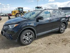 2T3BFREV5GW427082 2016 TOYOTA RAV 4
