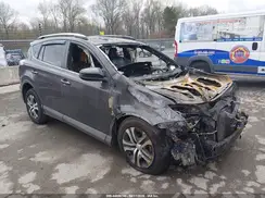 2T3BFREV5HW551953 2017 TOYOTA RAV 4