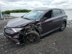 2T3BFREV5HW687323 2017 TOYOTA RAV 4