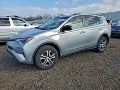 2T3BFREV6HW565392 2017 TOYOTA RAV 4