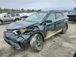 2T3BFREV6HW624571 2017 TOYOTA RAV 4