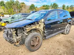 2T3BFREV6HW635165 2017 TOYOTA RAV 4