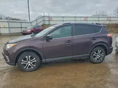 2T3BFREV6HW659854 2017 TOYOTA RAV 4