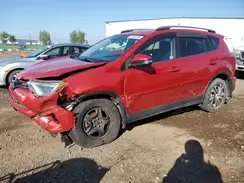 2T3BFREV6HW665136 2017 TOYOTA RAV 4
