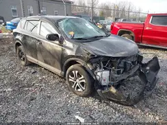 2T3BFREV6JW741301 2018 TOYOTA RAV 4