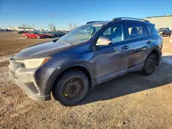 2T3BFREV7HW556667 2017 TOYOTA RAV 4
