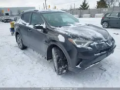 2T3BFREV8GW428856 2016 TOYOTA RAV 4