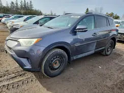2T3BFREV8GW430591 2016 TOYOTA RAV 4