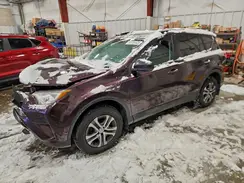 2T3BFREV9GW445925 2016 TOYOTA RAV 4
