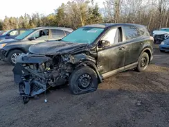 2T3BFREV9GW474065 2016 TOYOTA RAV 4