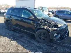 2T3BFREV9GW486667 2016 TOYOTA RAV 4