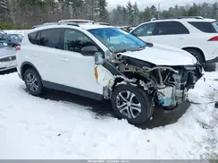 2T3BFREV9HW567296 2017 TOYOTA RAV 4