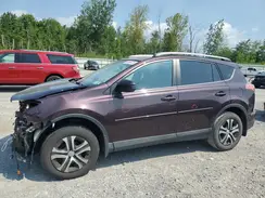 2T3BFREV9HW606596 2017 TOYOTA RAV 4