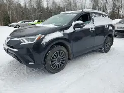 2T3BFREV9HW652266 2017 TOYOTA RAV 4