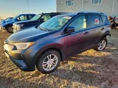 2T3BFREVXGW427188 2016 TOYOTA RAV 4