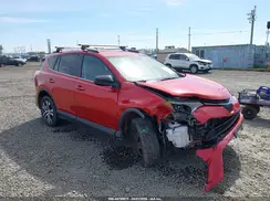 2T3BFREVXGW443827 2016 TOYOTA RAV 4