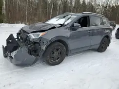 2T3BFREVXGW492204 2016 TOYOTA RAV 4
