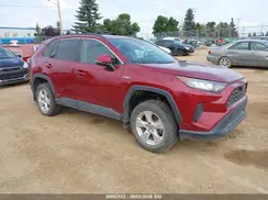 2T3BWRFV0LW096467 2020 TOYOTA RAV 4