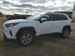 2T3BWRFV0PW168239 2023 TOYOTA RAV 4