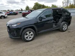 2T3BWRFV1KW004524 2019 TOYOTA RAV 4