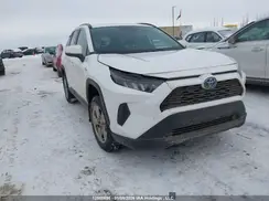 2T3BWRFV1LW050582 2020 TOYOTA RAV 4
