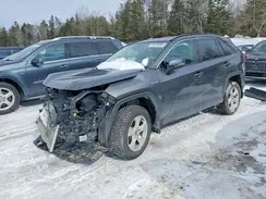 2T3BWRFV1MW118025 2021 TOYOTA RAV 4